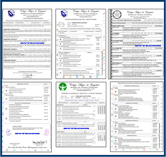 Boletines Escolares Sistemas De Notas E Informes Academicos
